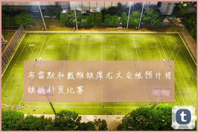 布雷默和戴维缺席尤文合练预计将缺战科莫比赛