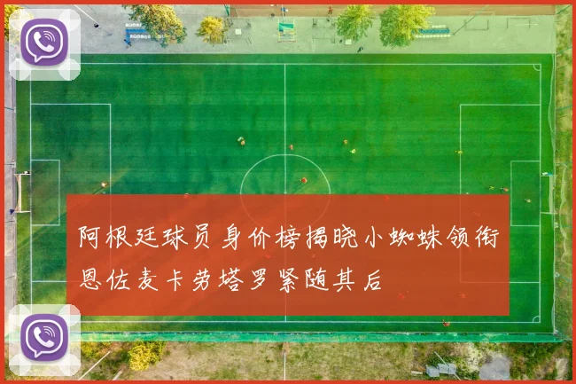 阿根廷球员身价榜揭晓小蜘蛛领衔恩佐麦卡劳塔罗紧随其后