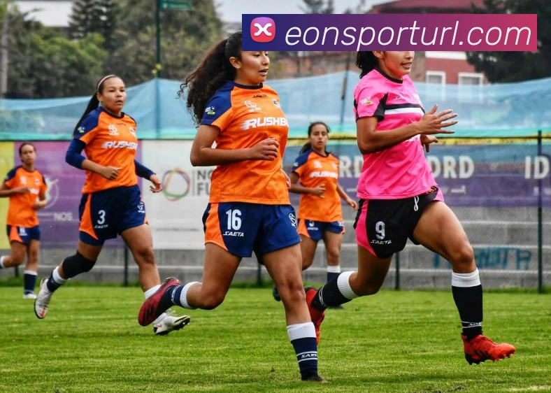 意昂体育APP 封面图